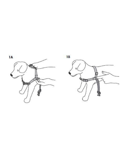 Postroj proti ťahanie Easy Walk Harness