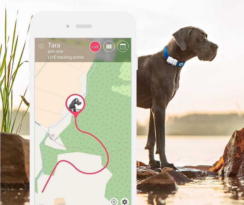 Tractive XL GPS tracker pre psov a ďalšie
