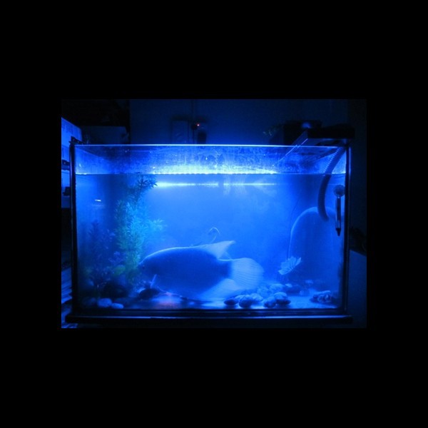 15 LED vodotesné osvetlenie pre akvária