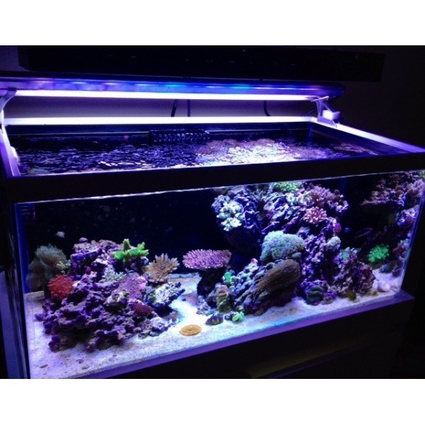 LED MARS AQUA 300W svietidlo pre akvárium