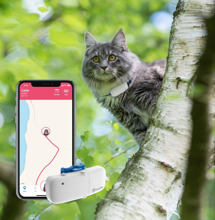 Tractive GPS lokátor pre mačky