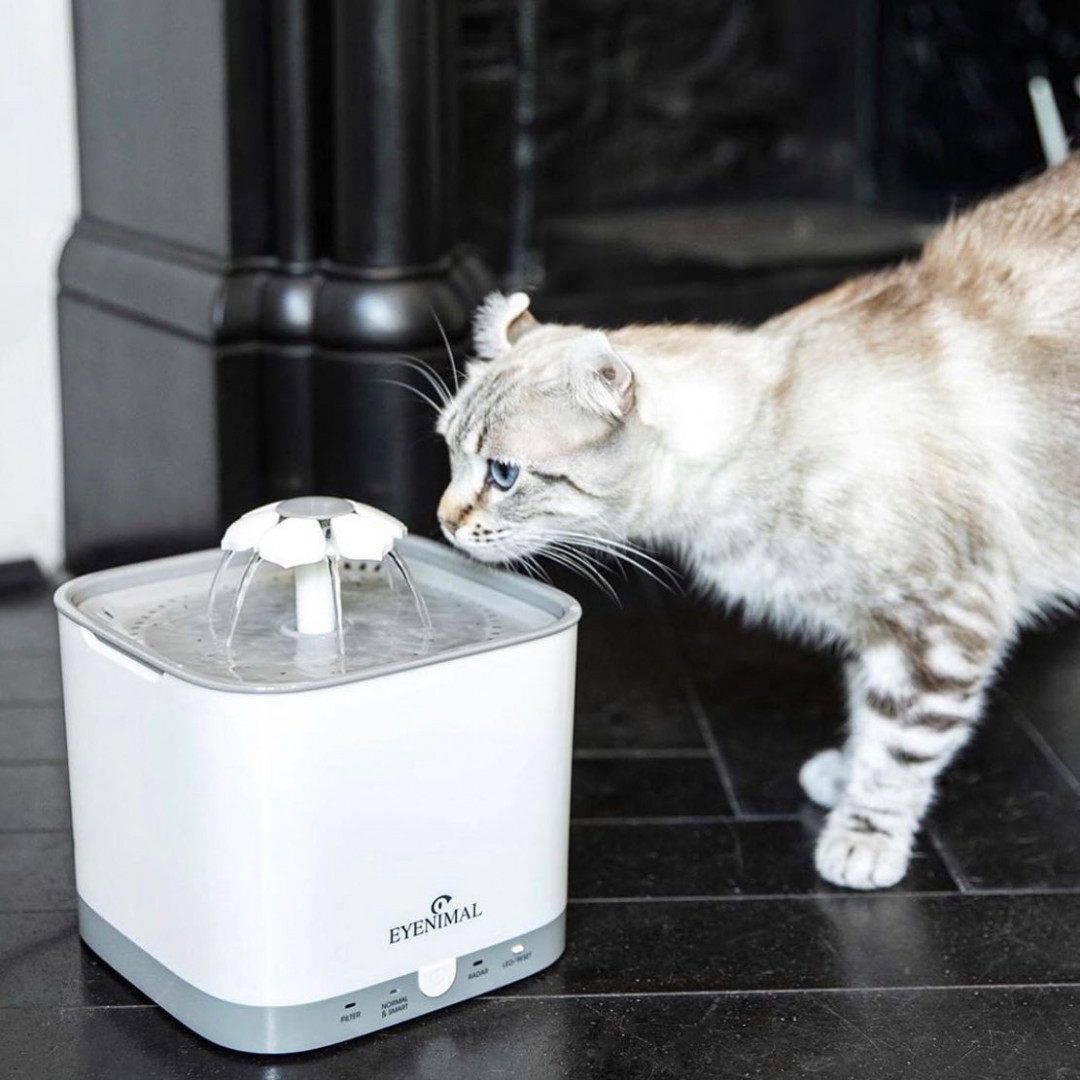 Fontána Eyenimal SMART Bloom Pet Fountain