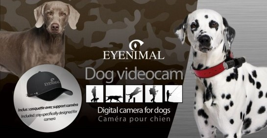 Kamera pre psov Eyenimal Dog Videocam