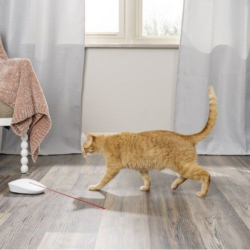 Hračka pre mačky PetSafe Laser Tail Light