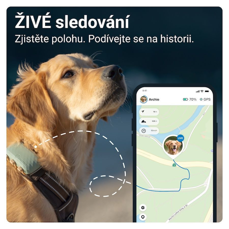 Tractive GPS DOG XL - zelený