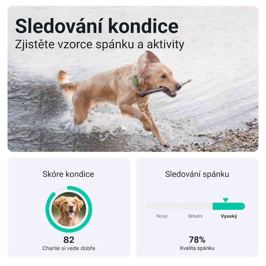 Tractive GPS DOG XL - zelený