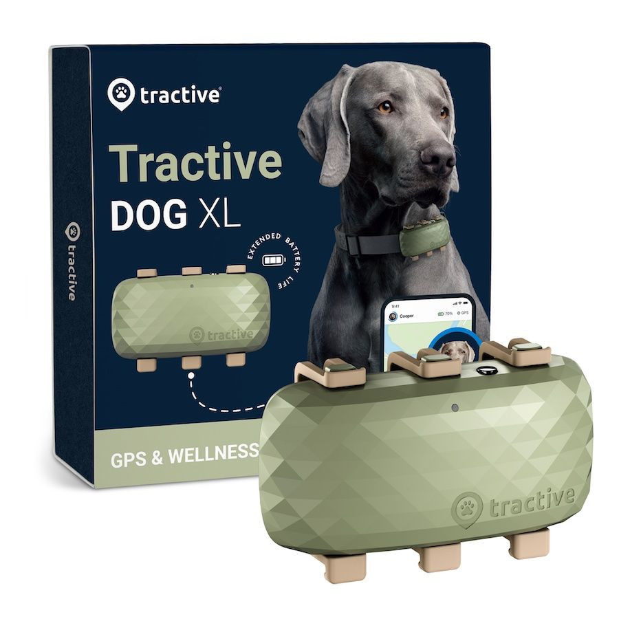 Tractive GPS DOG XL - zelený