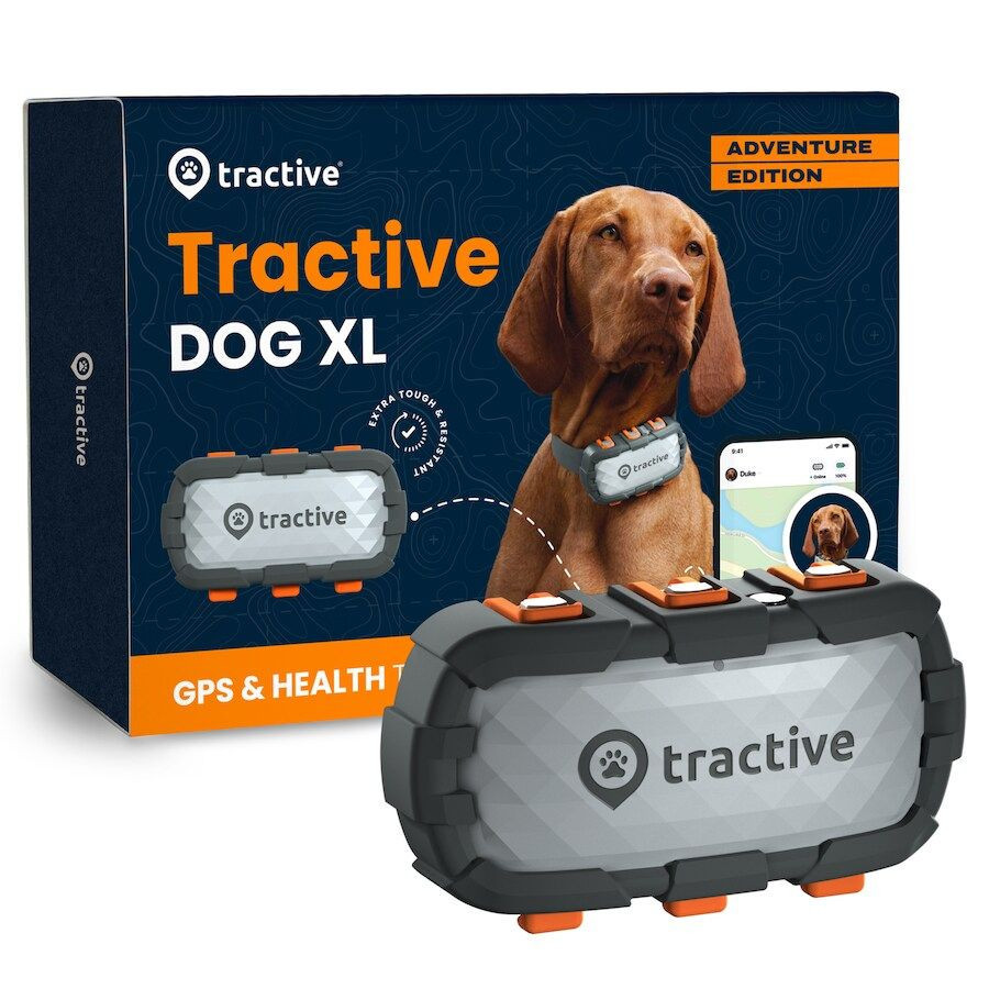 Lokátor pre psov Tractive GPS DOG XL Adventure Edition