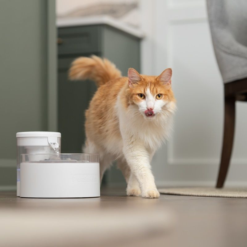 Fontánka PetSafe® Outlast™1.7 litra