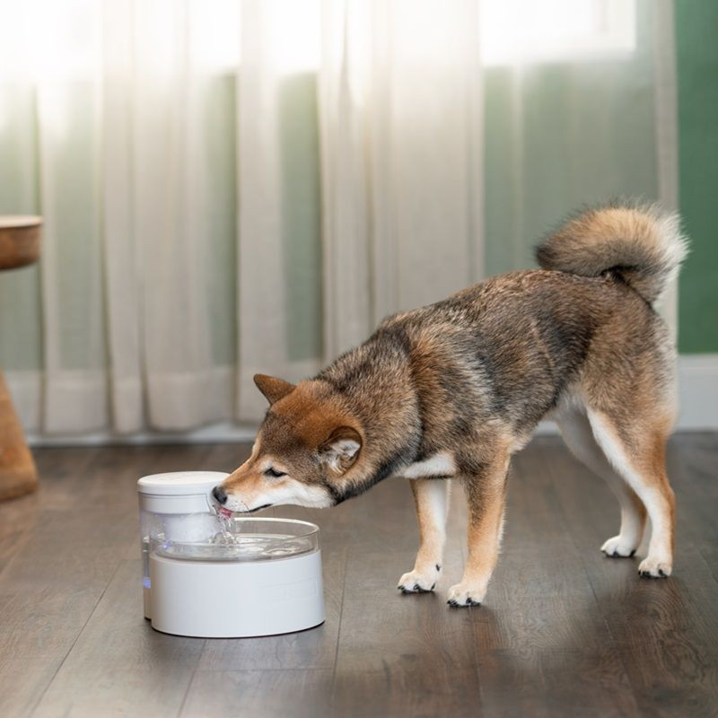 Fontánka PetSafe® Outlast™1.7 litra