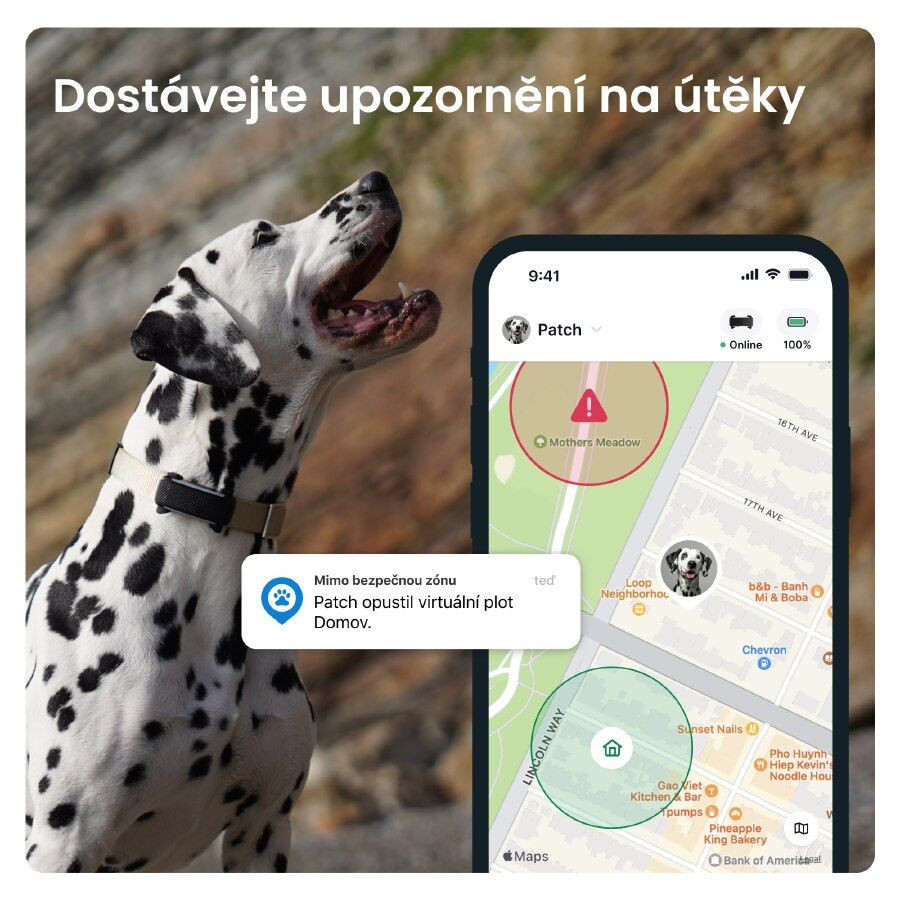 Tractive GPS DOG 6 lokátor pre psov