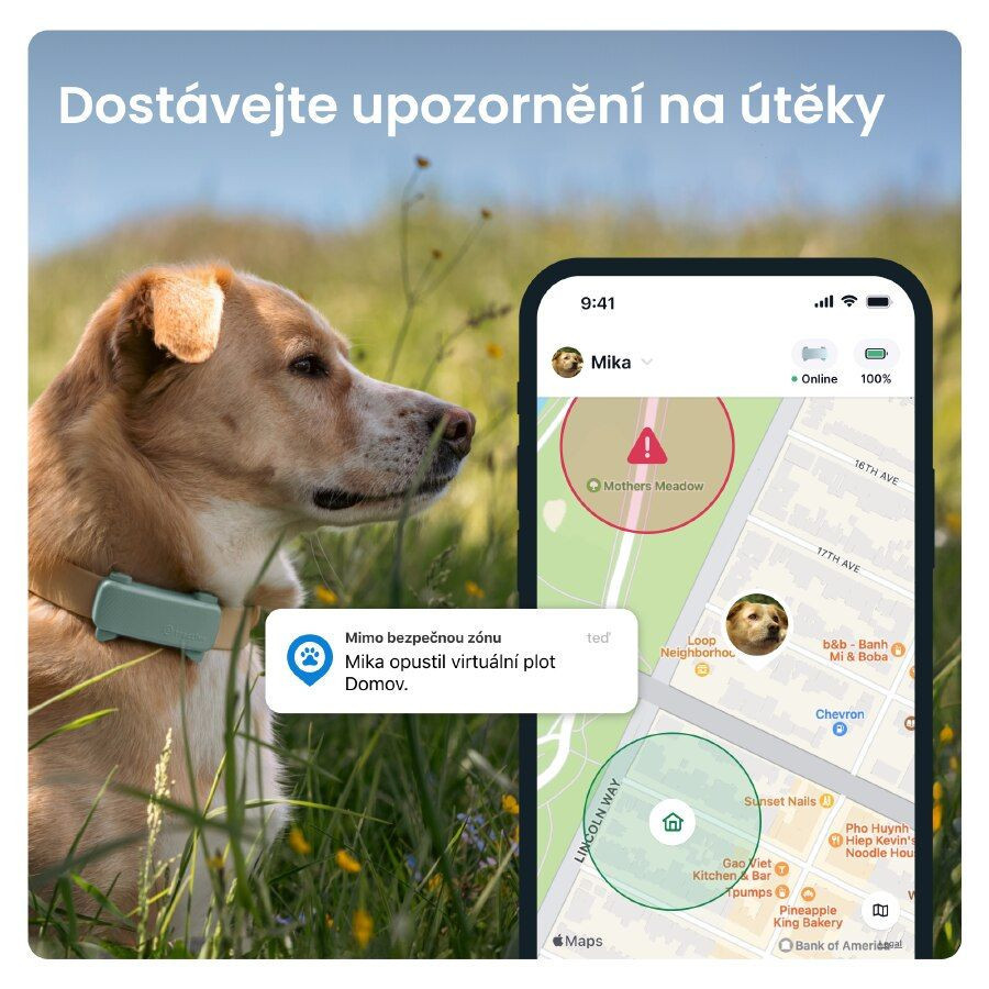 Tractive GPS DOG 6 lokátor pre psov