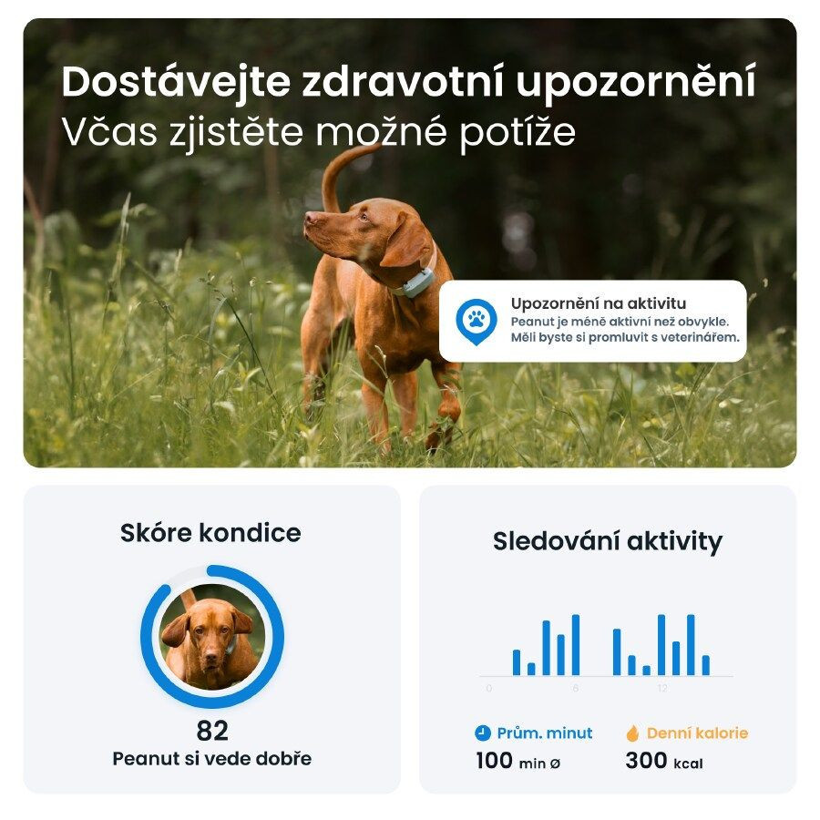 Tractive GPS DOG 6 lokátor pre psov