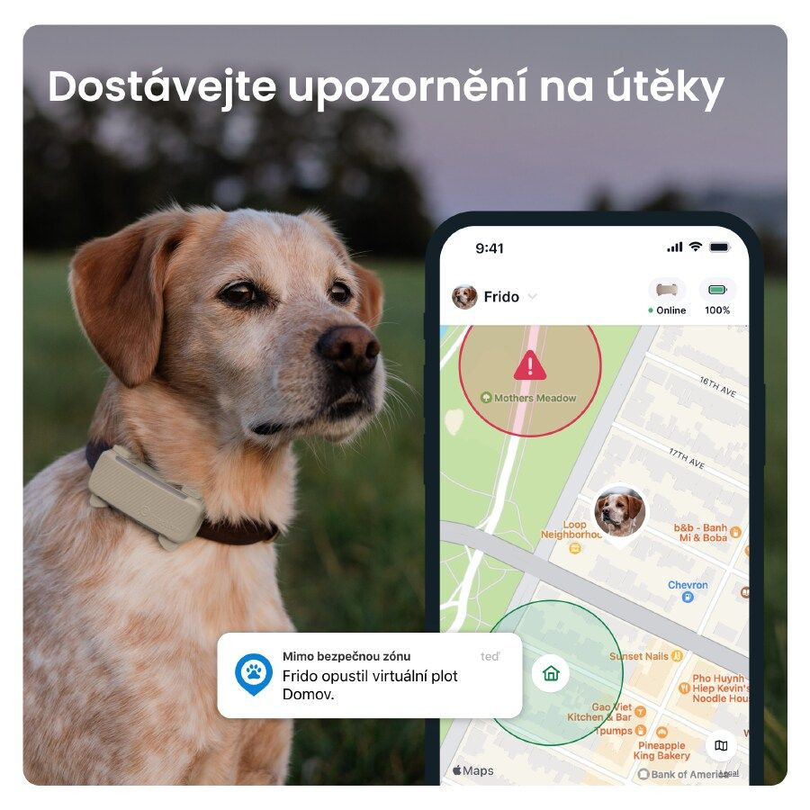 Tractive GPS DOG 6 lokátor pre psov