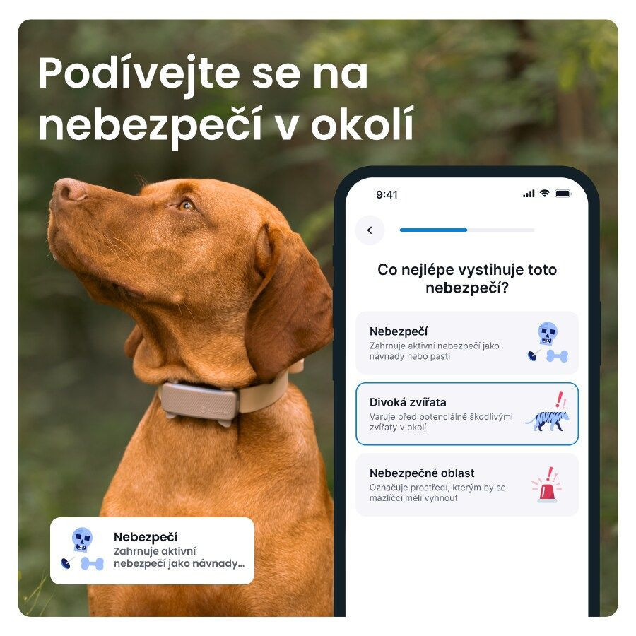 Tractive GPS DOG 6 lokátor pre psov